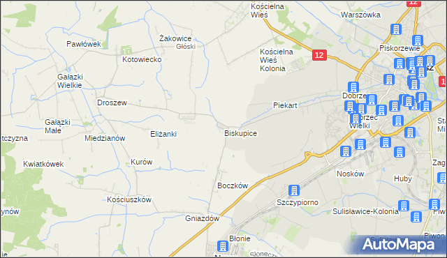 mapa Biskupice gmina Nowe Skalmierzyce, Biskupice gmina Nowe Skalmierzyce na mapie Targeo