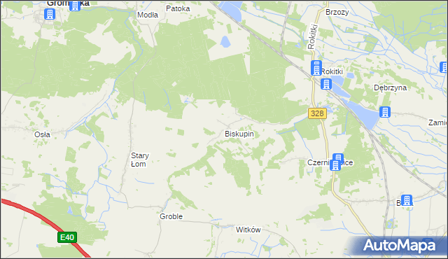 mapa Biskupin gmina Chojnów, Biskupin gmina Chojnów na mapie Targeo