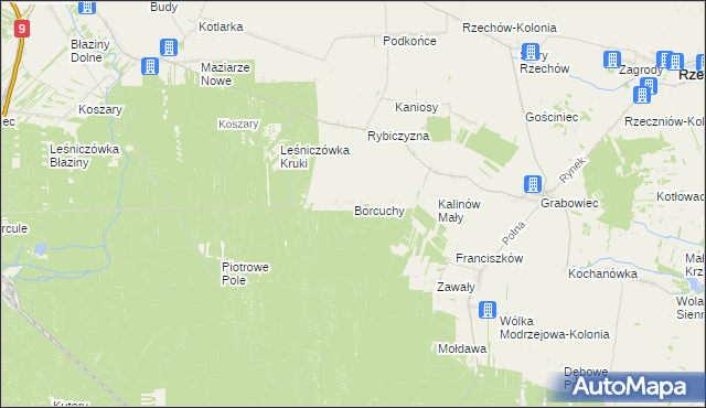 mapa Borcuchy gmina Rzeczniów, Borcuchy gmina Rzeczniów na mapie Targeo