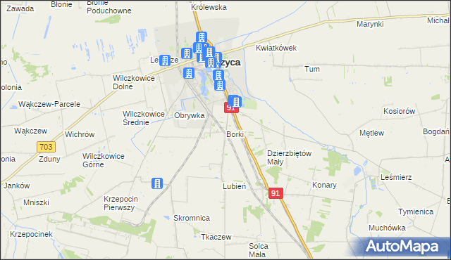 mapa Borki gmina Łęczyca, Borki gmina Łęczyca na mapie Targeo