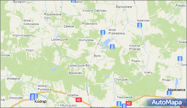 mapa Borki gmina Masłowice, Borki gmina Masłowice na mapie Targeo