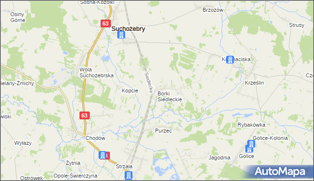 mapa Borki Siedleckie, Borki Siedleckie na mapie Targeo