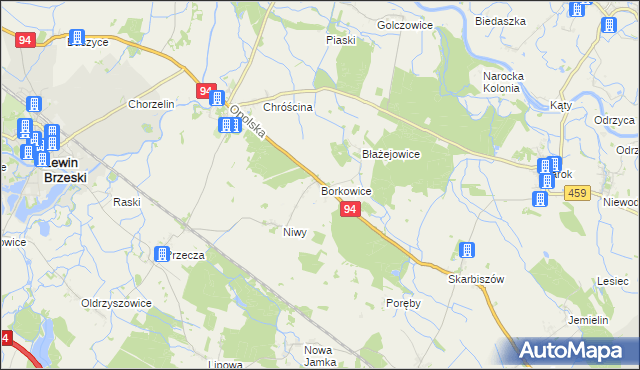 mapa Borkowice gmina Lewin Brzeski, Borkowice gmina Lewin Brzeski na mapie Targeo