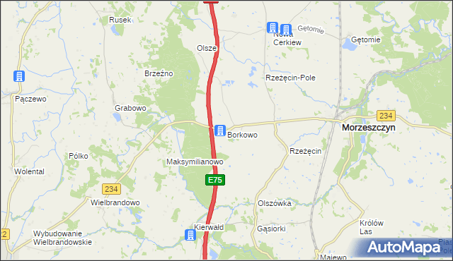 mapa Borkowo gmina Morzeszczyn, Borkowo gmina Morzeszczyn na mapie Targeo