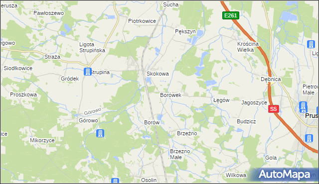 mapa Borówek gmina Prusice, Borówek gmina Prusice na mapie Targeo