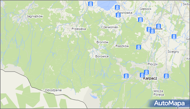 mapa Borowice gmina Podgórzyn, Borowice gmina Podgórzyn na mapie Targeo