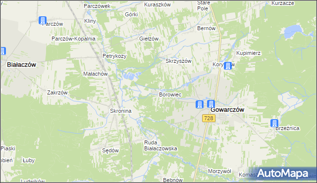 mapa Borowiec gmina Gowarczów, Borowiec gmina Gowarczów na mapie Targeo