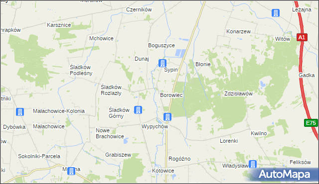 mapa Borowiec gmina Piątek, Borowiec gmina Piątek na mapie Targeo