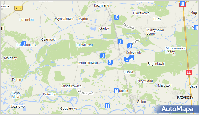mapa Borowo gmina Krzykosy, Borowo gmina Krzykosy na mapie Targeo