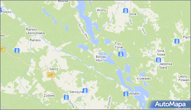 mapa Borowy Młyn gmina Pszczew, Borowy Młyn gmina Pszczew na mapie Targeo