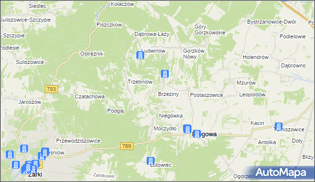 mapa Brzeziny gmina Niegowa, Brzeziny gmina Niegowa na mapie Targeo