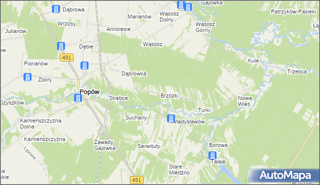 mapa Brzózki gmina Popów, Brzózki gmina Popów na mapie Targeo