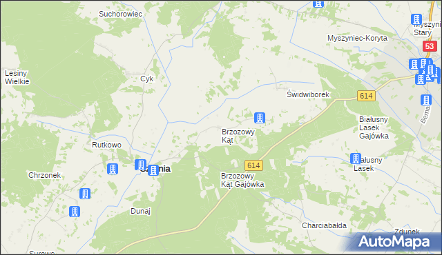 mapa Brzozowy Kąt gmina Czarnia, Brzozowy Kąt gmina Czarnia na mapie Targeo