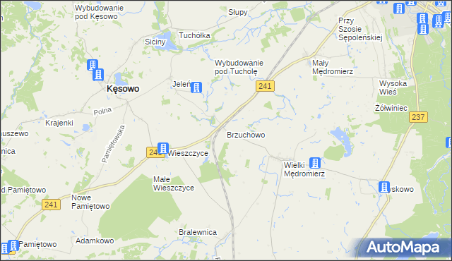mapa Brzuchowo, Brzuchowo na mapie Targeo