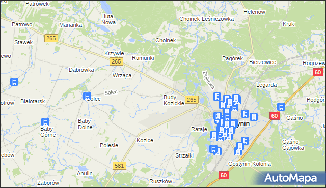 mapa Budy Kozickie, Budy Kozickie na mapie Targeo