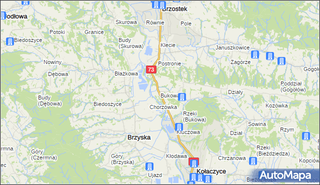 mapa Bukowa gmina Brzostek, Bukowa gmina Brzostek na mapie Targeo