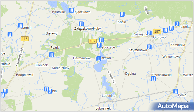 mapa Buszewo gmina Pniewy, Buszewo gmina Pniewy na mapie Targeo