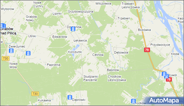 mapa Celinów gmina Grabów nad Pilicą, Celinów gmina Grabów nad Pilicą na mapie Targeo