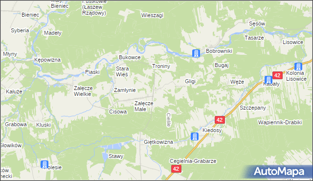 mapa Cieśle gmina Pątnów, Cieśle gmina Pątnów na mapie Targeo