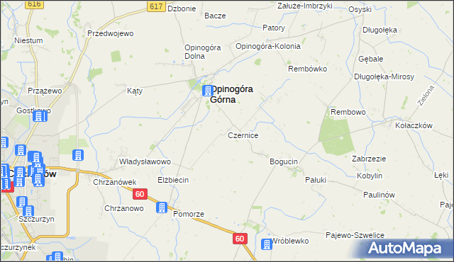 mapa Czernice gmina Opinogóra Górna, Czernice gmina Opinogóra Górna na mapie Targeo