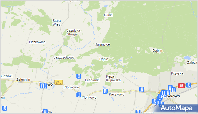 mapa Dąbie gmina Rojewo, Dąbie gmina Rojewo na mapie Targeo