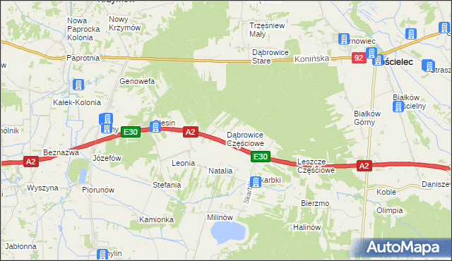 mapa Dąbrowice Częściowe, Dąbrowice Częściowe na mapie Targeo