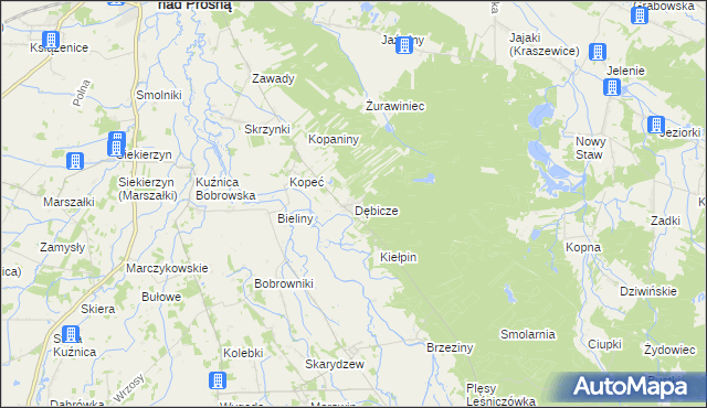 mapa Dębicze, Dębicze na mapie Targeo