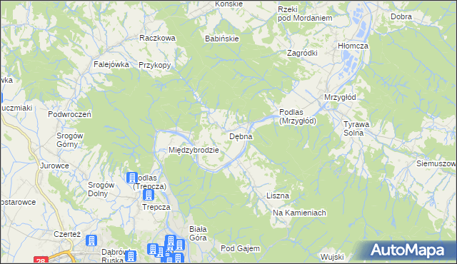 mapa debna Przedsiębiorstwo, Firma w Dębna gmina Sanok :: Przemysł, Firmy na 