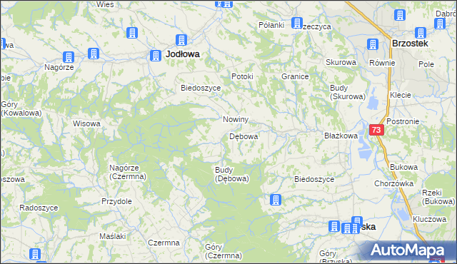 mapa Dębowa gmina Jodłowa, Dębowa gmina Jodłowa na mapie Targeo