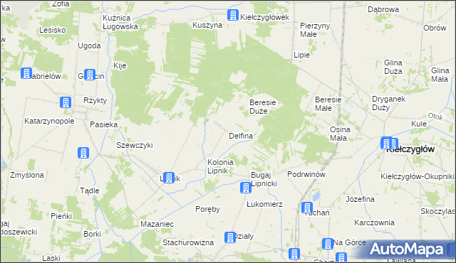 mapa Delfina gmina Siemkowice, Delfina gmina Siemkowice na mapie Targeo
