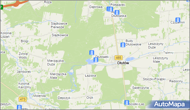 mapa Dłutówek, Dłutówek na mapie Targeo
