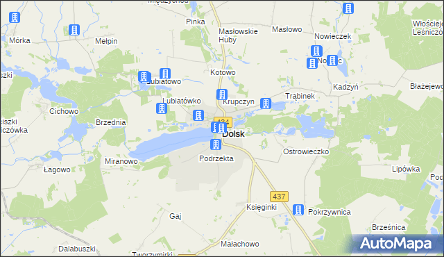 mapa Dolsk powiat śremski, Dolsk powiat śremski na mapie Targeo