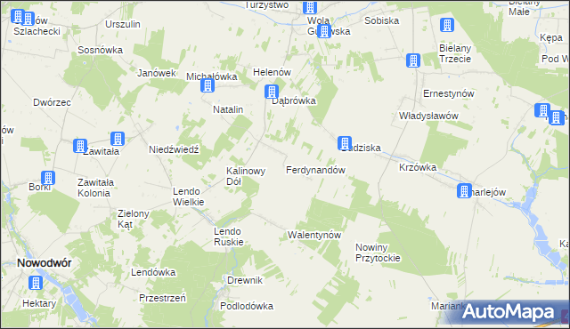 mapa Ferdynandów gmina Adamów, Ferdynandów gmina Adamów na mapie Targeo