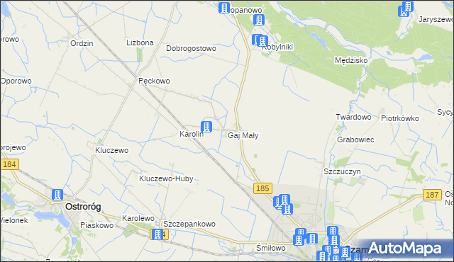 mapa Gaj Mały gmina Obrzycko, Gaj Mały gmina Obrzycko na mapie Targeo