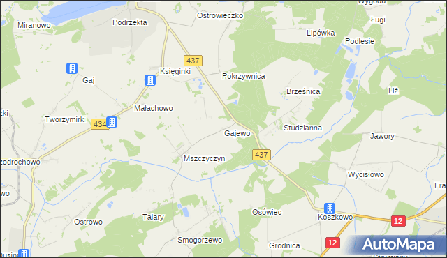 mapa Gajewo gmina Dolsk, Gajewo gmina Dolsk na mapie Targeo