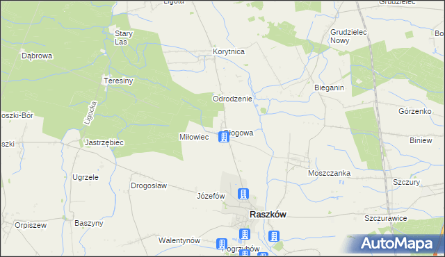 mapa Głogowa gmina Raszków, Głogowa gmina Raszków na mapie Targeo