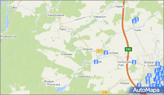 mapa Głogusz, Głogusz na mapie Targeo