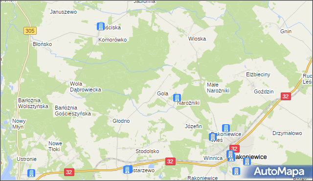 mapa Gola gmina Rakoniewice, Gola gmina Rakoniewice na mapie Targeo