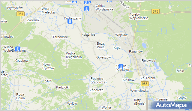 mapa Goleszów gmina Mielec, Goleszów gmina Mielec na mapie Targeo
