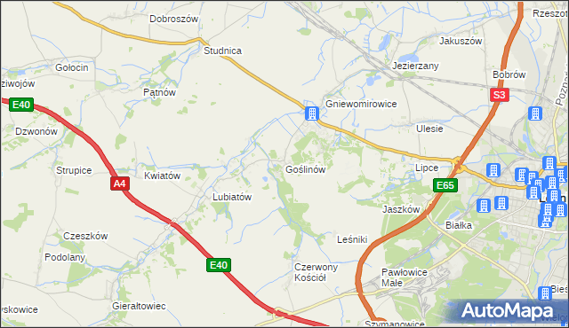 mapa Goślinów, Goślinów na mapie Targeo
