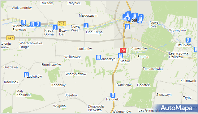 mapa Gruszczyn gmina Lipsko, Gruszczyn gmina Lipsko na mapie Targeo