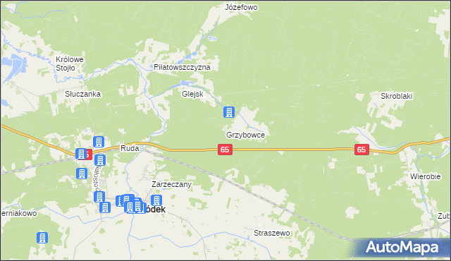 mapa Grzybowce, Grzybowce na mapie Targeo