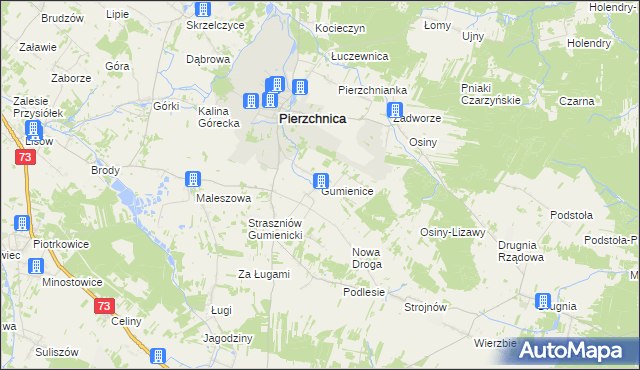 mapa Gumienice gmina Pierzchnica, Gumienice gmina Pierzchnica na mapie Targeo