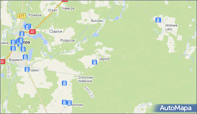 mapa Jaglice, Jaglice na mapie Targeo