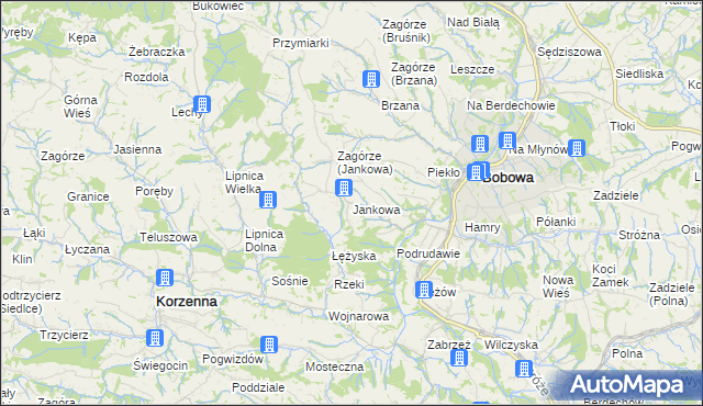 mapa Jankowa gmina Bobowa, Jankowa gmina Bobowa na mapie Targeo