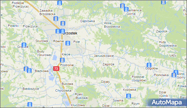 mapa Januszkowice gmina Brzostek, Januszkowice gmina Brzostek na mapie Targeo