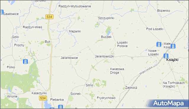 mapa Jarantowiczki gmina Ryńsk, Jarantowiczki gmina Ryńsk na mapie Targeo