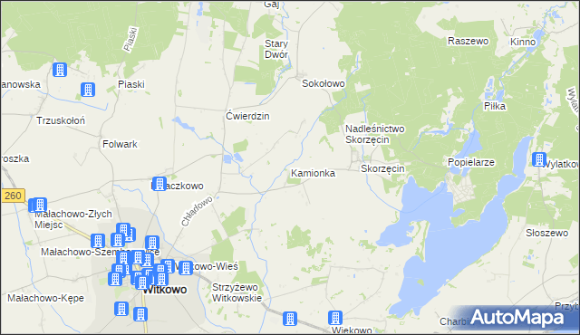 mapa Kamionka gmina Witkowo, Kamionka gmina Witkowo na mapie Targeo