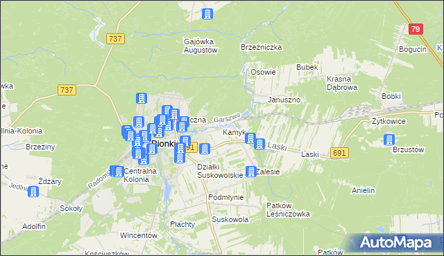 mapa Kamyk gmina Pionki, Kamyk gmina Pionki na mapie Targeo