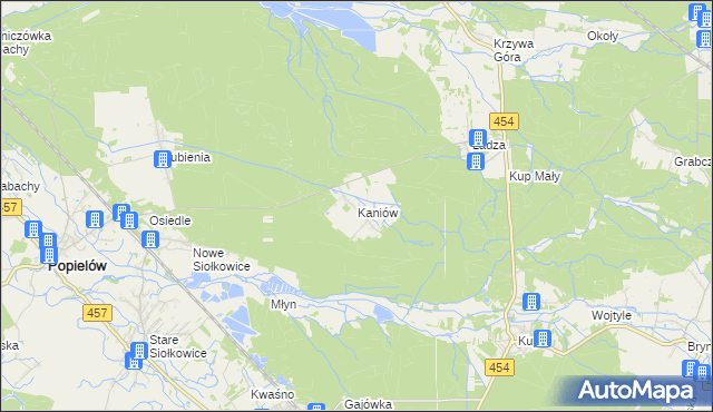 mapa Kaniów gmina Popielów, Kaniów gmina Popielów na mapie Targeo